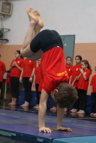 gym00011