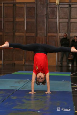 gym00013
